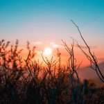 Best Winter RV Parks In Texas 1