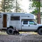 RVing With A Dog 2