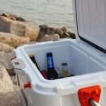 the best cooler for camping 2