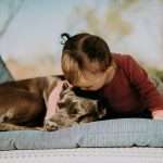 Dog Friendly RV Parks In Florida 10