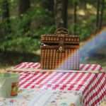 Encore RV Resorts In Florida 4