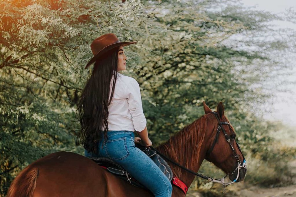 Arizona RV registration requirements 3