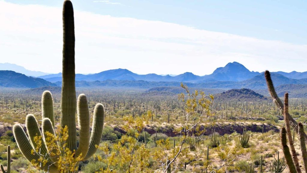 Best RV Boondocking In Arizona 4