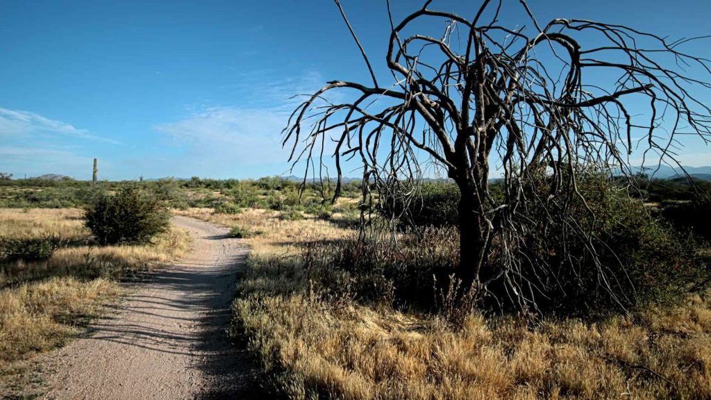 Arizona RV Camping Guide 2