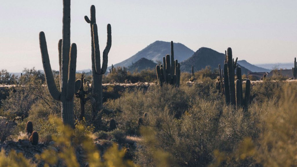 Arizona RV Camping Guide 4