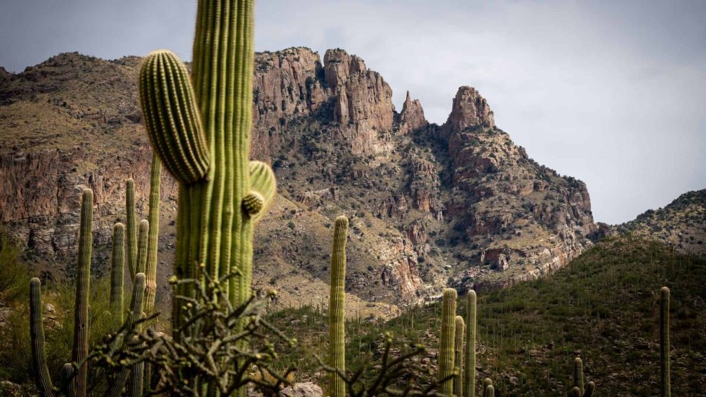 Best Luxury RV Resorts In Southern Arizona 2