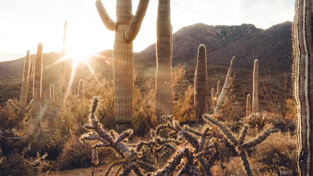 Places To RV Camp In Arizona 4