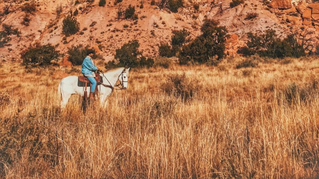 New Mexico RV Destinations 3