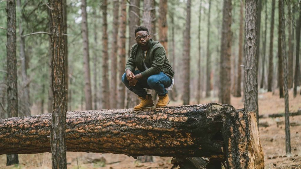 RV Trips In New Mexico 6