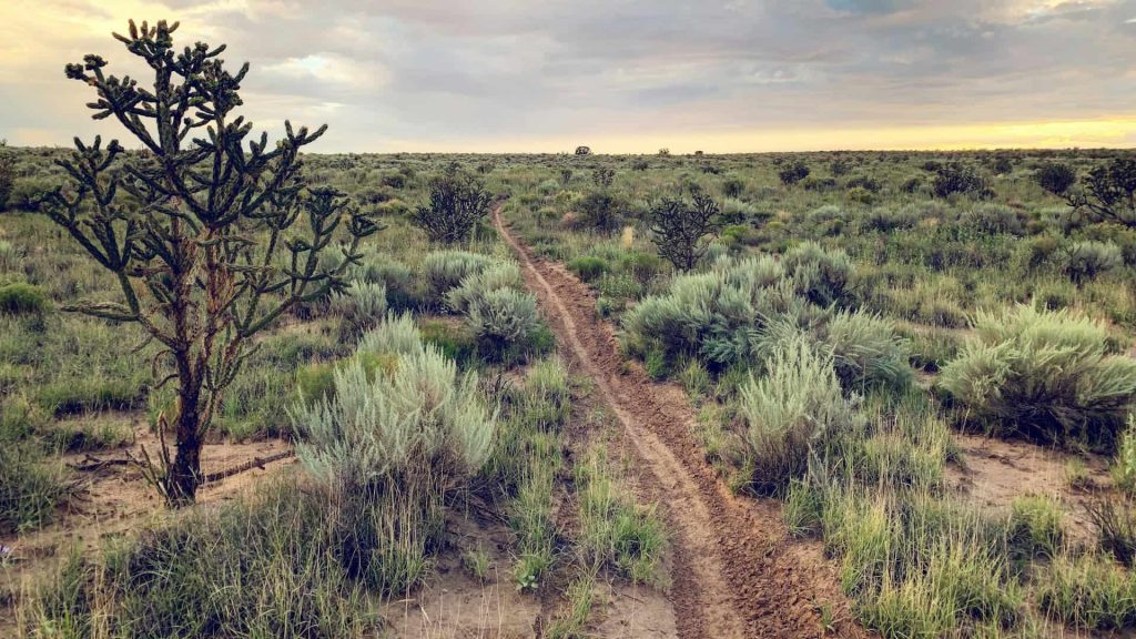 Winter RV Parks In New Mexico 3