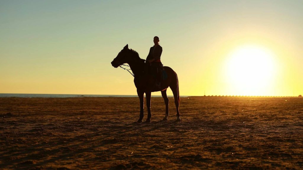 Winter RV Parks In New Mexico 4